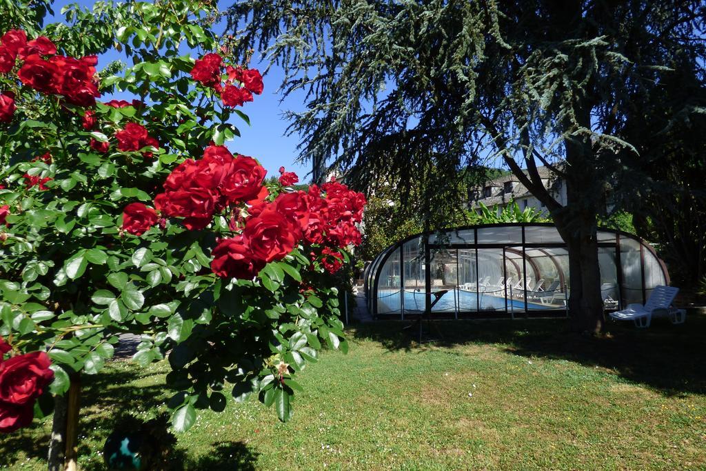 Hotel Du Lion D'Or Entraygues-sur-Truyere Luaran gambar