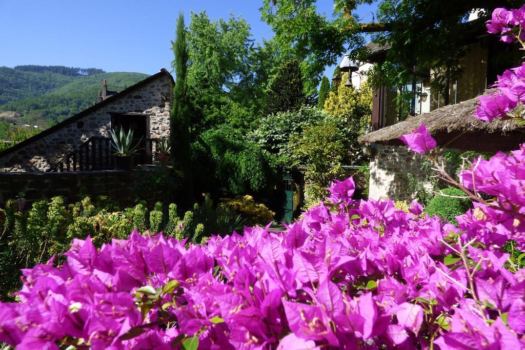 Hotel Du Lion D'Or Entraygues-sur-Truyere Luaran gambar