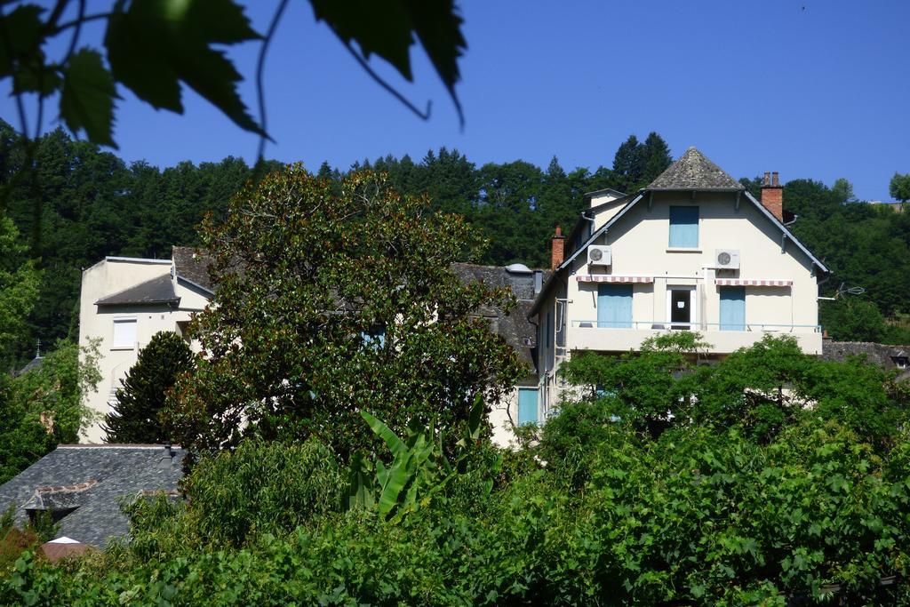 Hotel Du Lion D'Or Entraygues-sur-Truyere Luaran gambar